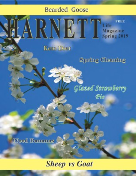 Harnett Life Spring 2019